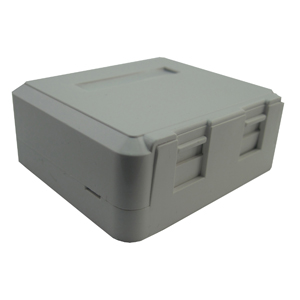2 Channel RJ45 outlet box