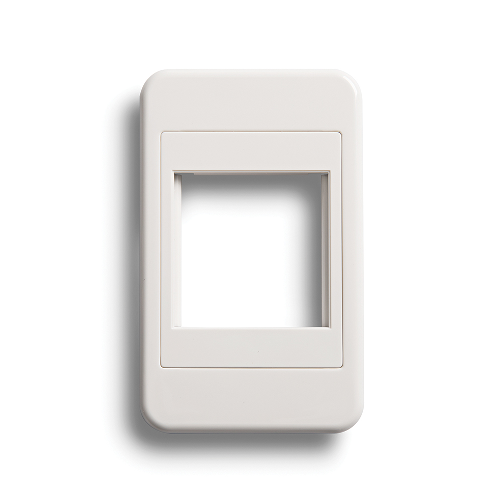 Wall Plate Frame (4x2)