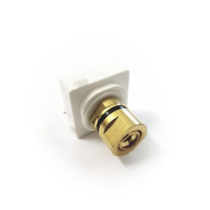 Speaker Connector Black Wall Plate Insert Module - Banana Gold (WPI/BB-B)