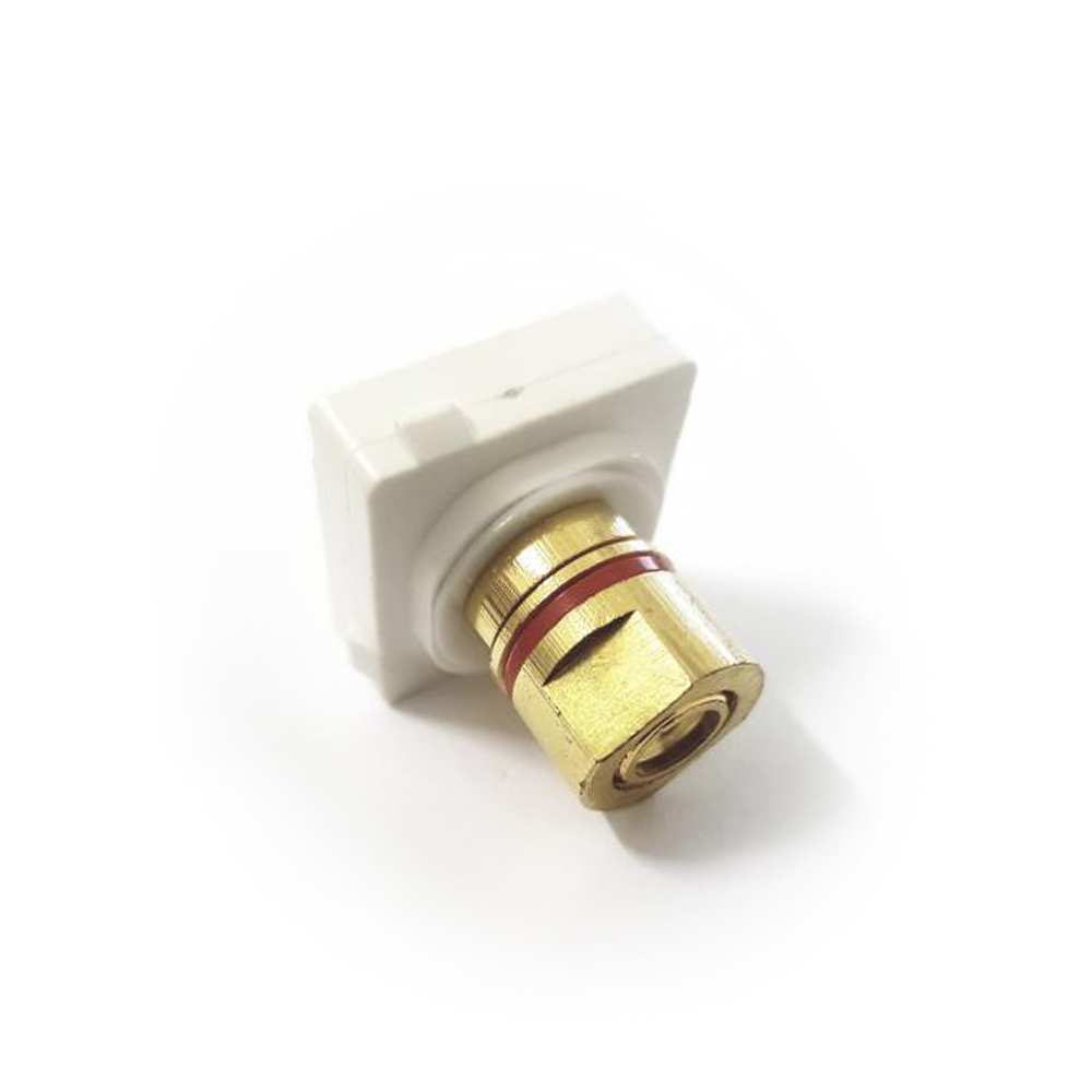Speaker Connector Red Wall Plate Insert Module - Banana Gold (WPI/BB-R)