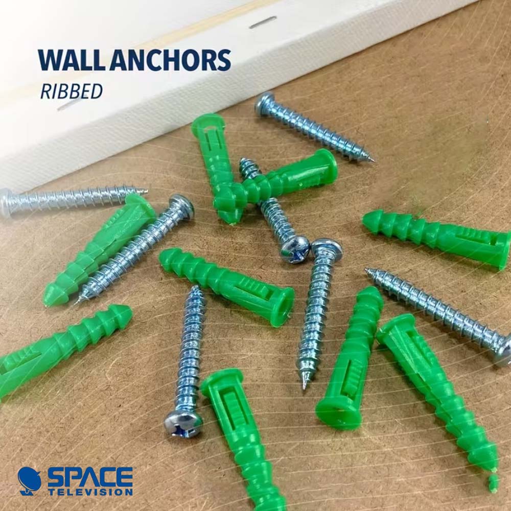 Steel Coach Screws with Wall Plugs x100 (COUCH01B) - Image 6