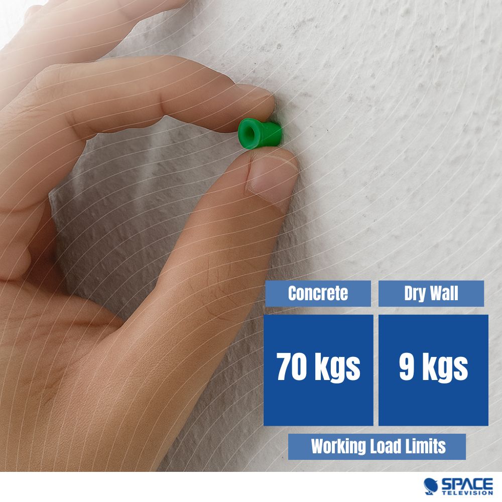 Steel Coach Screws with Wall Plugs x100 (COUCH01B) - Image 4