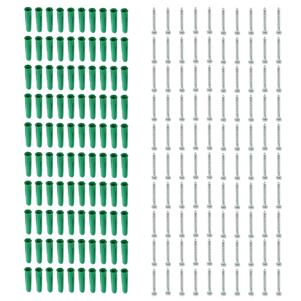 Steel Coach Screws with Wall Plugs x100 (COUCH01B) - Image 2
